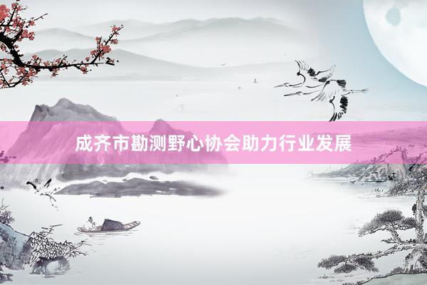 成齐市勘测野心协会助力行业发展