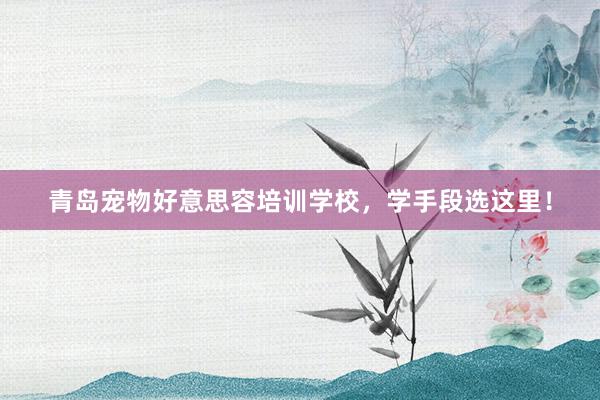 青岛宠物好意思容培训学校，学手段选这里！