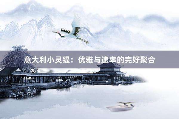 意大利小灵缇：优雅与速率的完好聚合