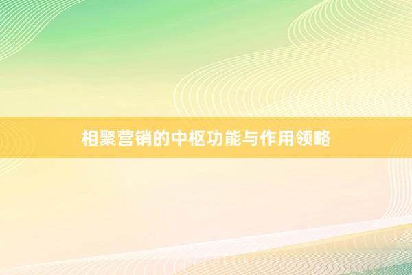 相聚营销的中枢功能与作用领略
